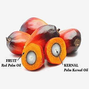 The fruit that our red palm oil is made out of