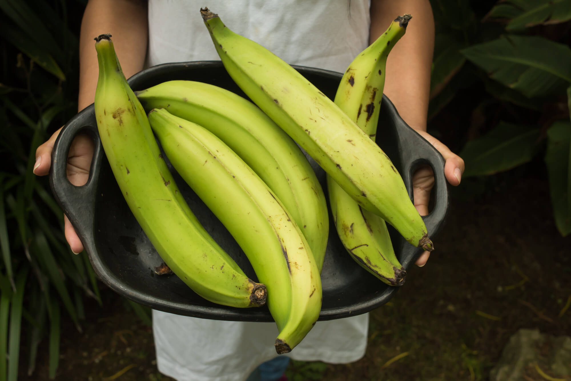 Plantain Flour