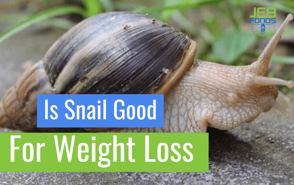 Is snail Good for Weight Loss